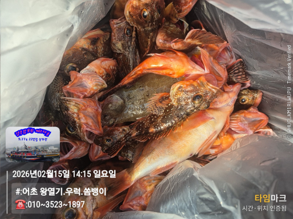 2026-02-15 14.15.49__(#-어초 왕열기.우럭.쏨뱅이)_(-010~3523~1897).jpg