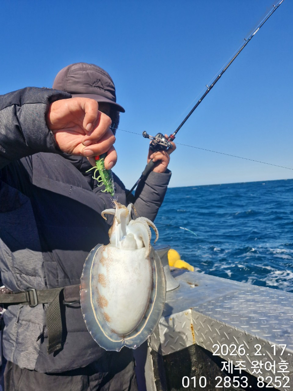 제주왔어호_사진_20260218_26.jpg