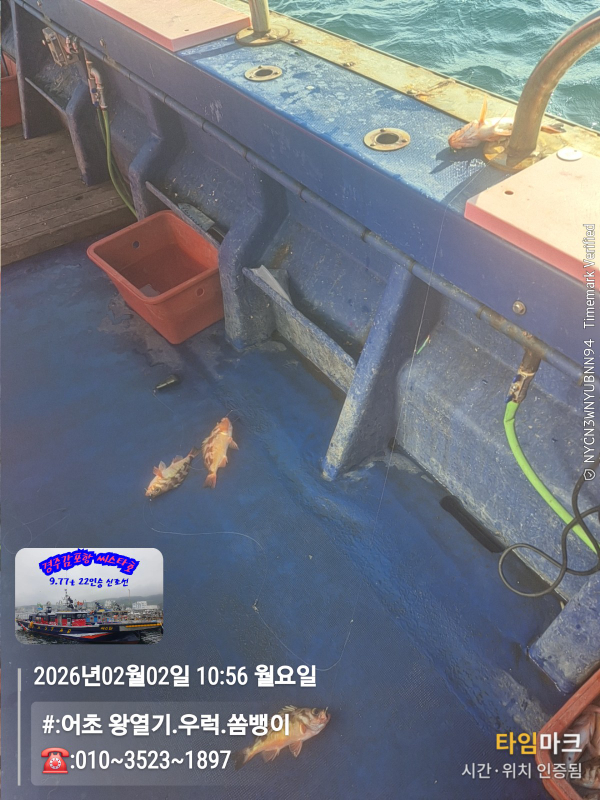 2026-02-02 10.56.32__(#-어초 왕열기.우럭.쏨뱅이)_(-010~3523~1897).jpg