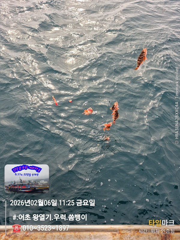 2026-02-06 11.25.25__(#-어초 왕열기.우럭.쏨뱅이)_(-010~3523~1897).jpg