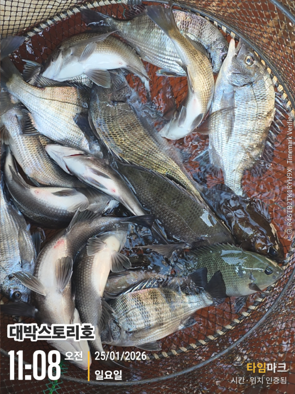 2026-01-25 11.08.26__(대박스토리호).jpg