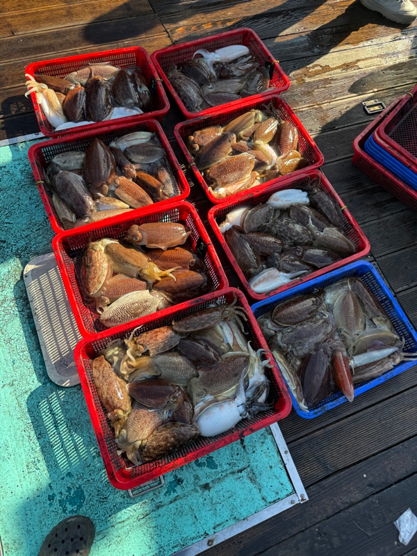 제주 쏘니호_사진_20260219_14.jpg