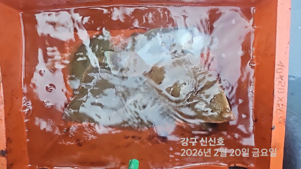 신신낚시 강구점 신신호_사진_20260220_8.jpg