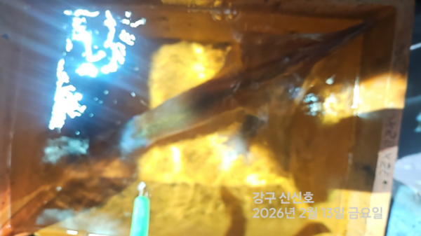 신신낚시 강구점 신신호_사진_20260214_8.jpg