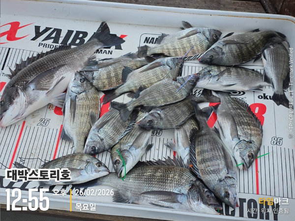 2026-02-26 12.55.37__(대박스토리호).jpg