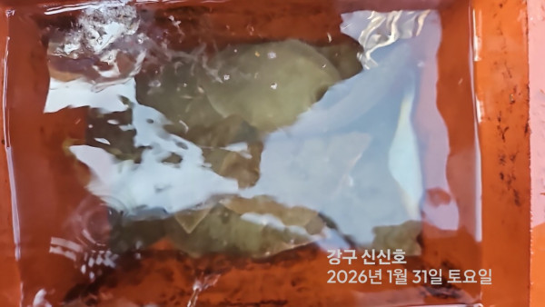 신신낚시 강구점 신신호_사진_20260131_6.jpg