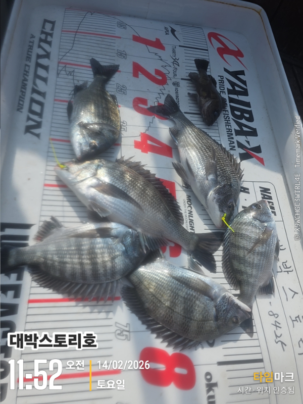 2026-02-14 11.52.29__(대박스토리호).jpg