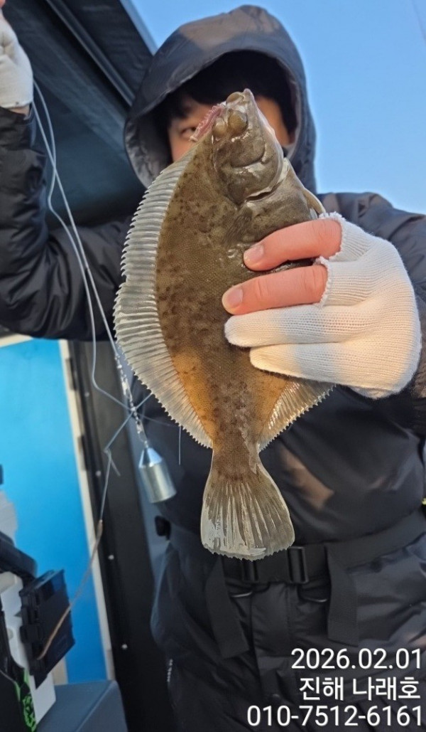 나래피싱(문어,낙지,갈치,호래기,감성돔)_사진_20260202_3.jpg