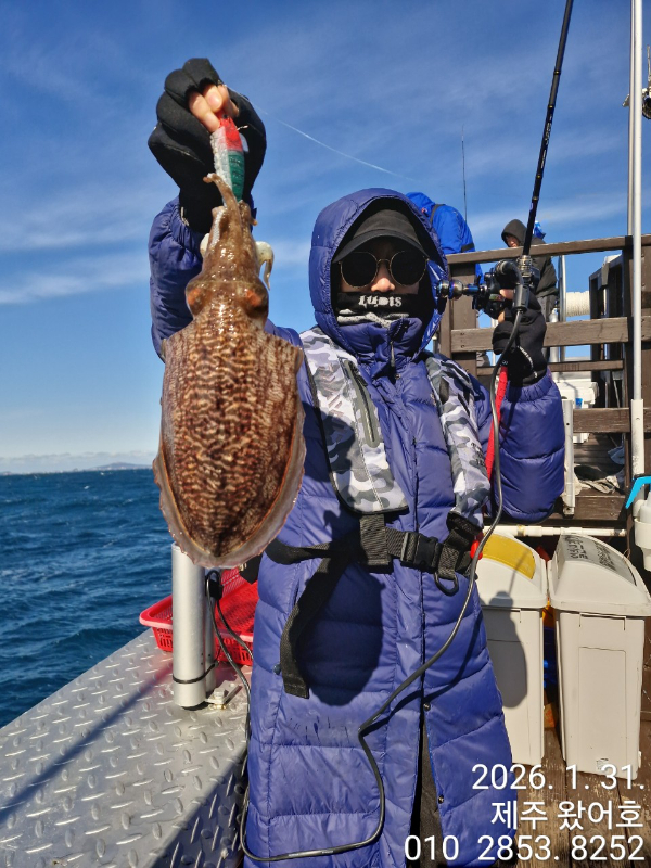 제주왔어호_사진_20260201_59.jpg
