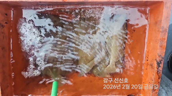 신신낚시 강구점 신신호_사진_20260220_9.jpg