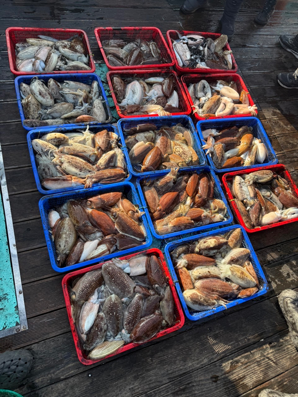 제주 쏘니호_사진_20260214_2.jpg