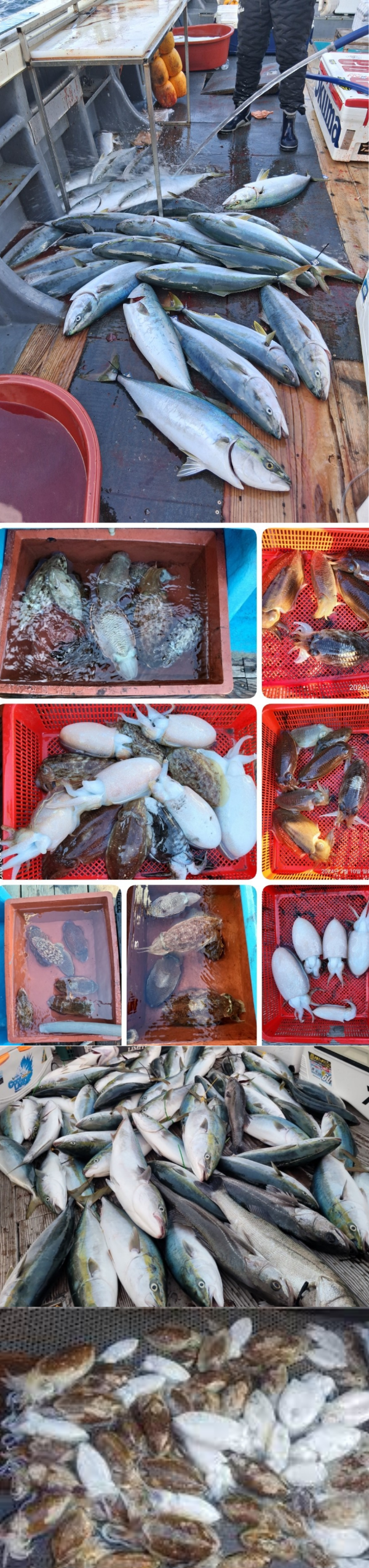 제목을 입력해주세요..png