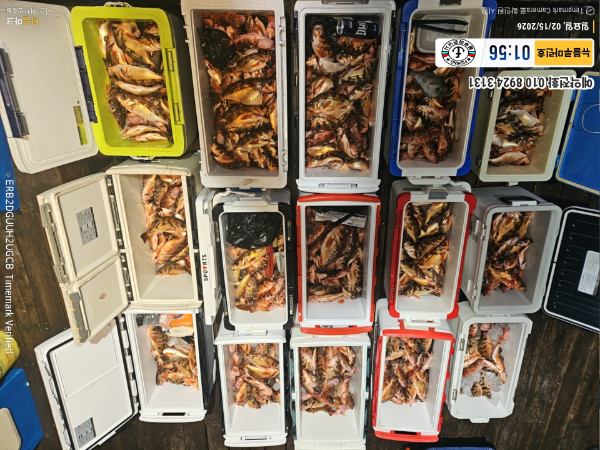 2026-02-15 01.56.12__(제목-뉴블루마린호)_(예약전화 010 8924 3131).jpg