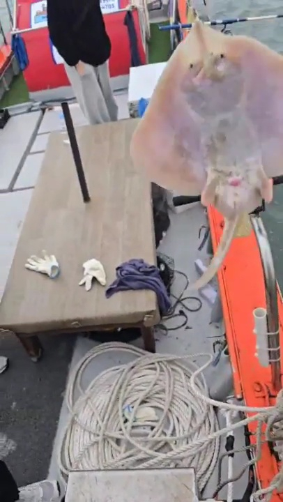 2026_02_27 19_33 (1)(1).jpg