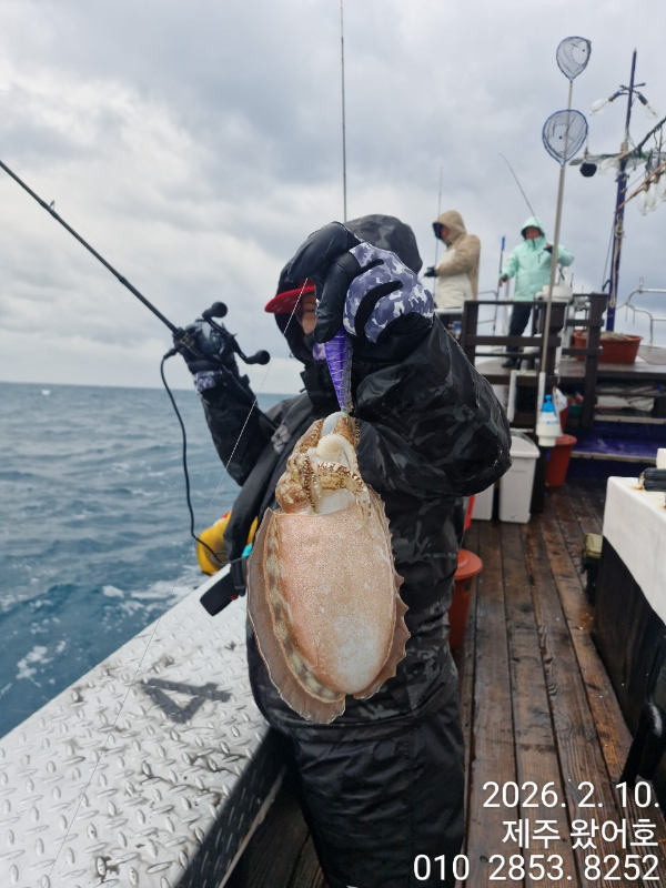 제주왔어호_사진_20260211_30.jpg
