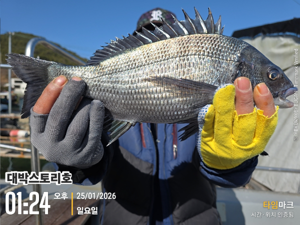2026-01-25 01.24.37__(대박스토리호).jpg