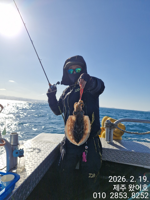 제주왔어호_사진_20260220_30.jpg
