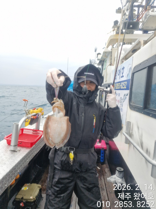 제주왔어호_사진_20260215_23.jpg