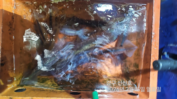 신신낚시 강구점 신신호_사진_20260216_11.jpg