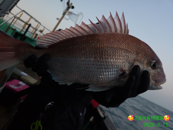 쎄븐피싱클럽(선상 버스출조전문)_사진_20260216_2.jpg