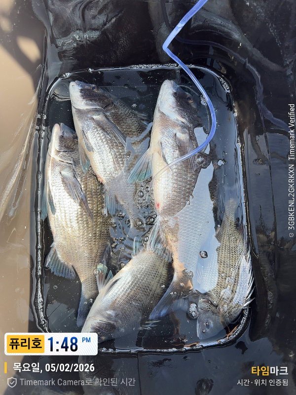 2026-02-05 13.48.32_(제목-퓨리호).jpeg