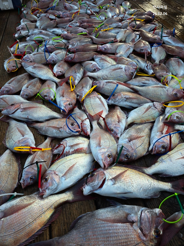 1004피싱_사진_20260206_2.jpg