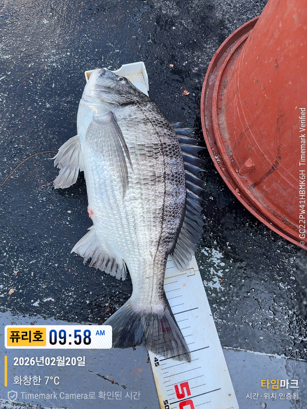 2026-02-20 09.58.57_(제목-퓨리호).jpeg