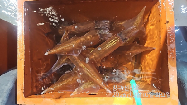 신신낚시 강구점 신신호_사진_20260211_11.jpg