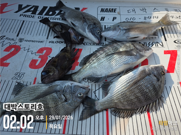 2026-01-29 02.02.00__(대박스토리호).jpg