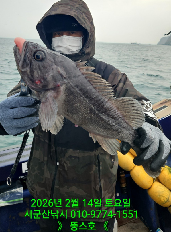 군산 선상낚시, 바다낚시 출조 전문 ☆서군산낚시☆_사진_20260215_3.jpg