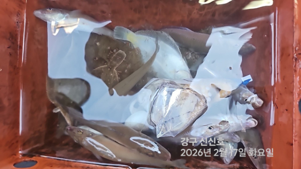 신신낚시 강구점 신신호_사진_20260217_9.jpg
