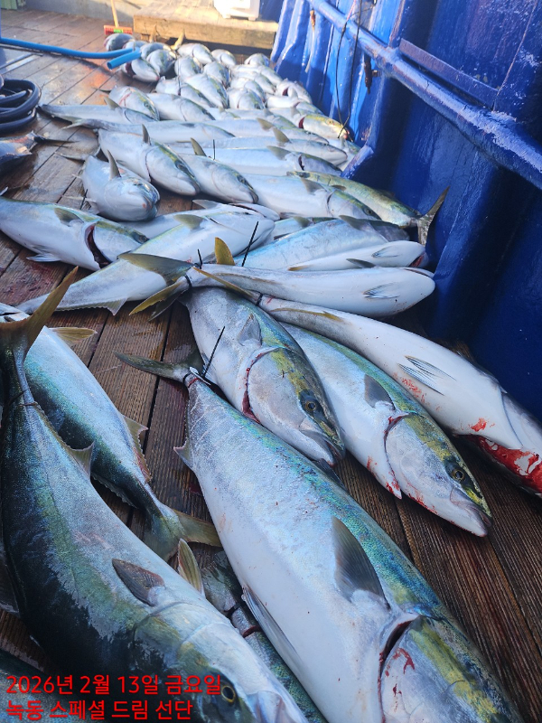 쎄븐피싱클럽(선상 버스출조전문)_사진_20260215_1.jpg