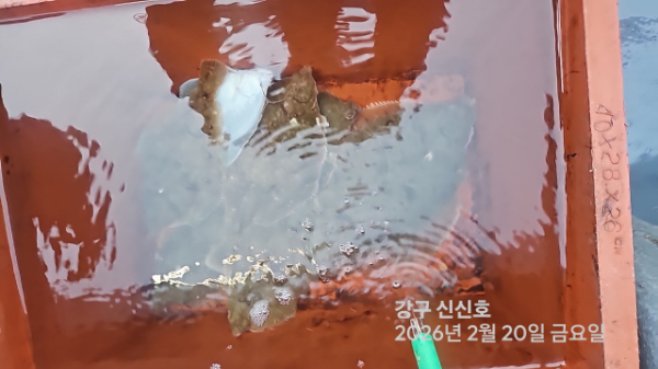 신신낚시 강구점 신신호_사진_20260220_7.jpg