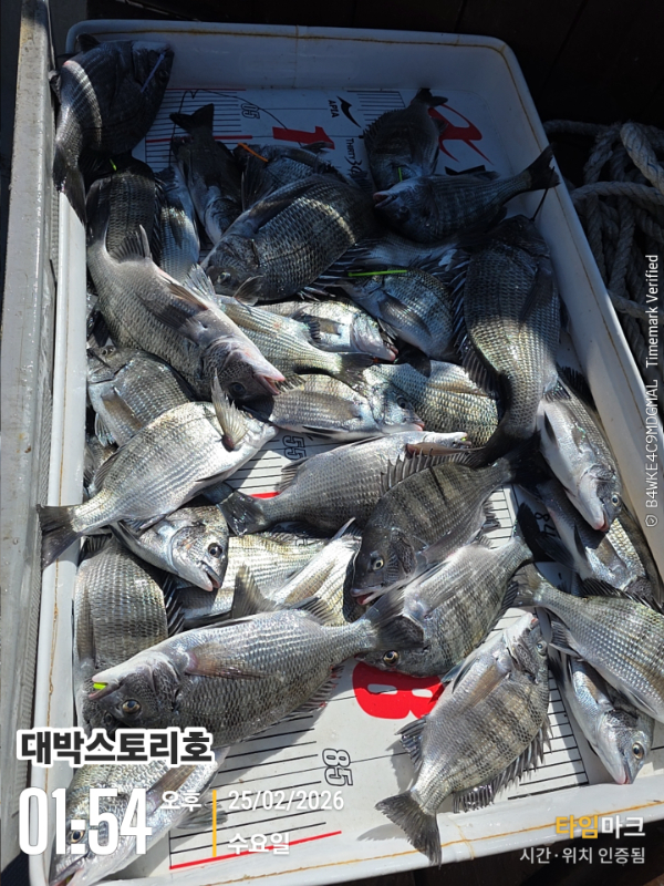 2026-02-25 01.54.03__(대박스토리호).jpg