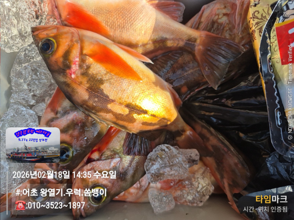 2026-02-18 14.35.20__(#-어초 왕열기.우럭.쏨뱅이)_(-010~3523~1897).jpg