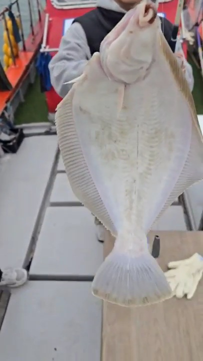 2026_02_27 19_33(4).jpg