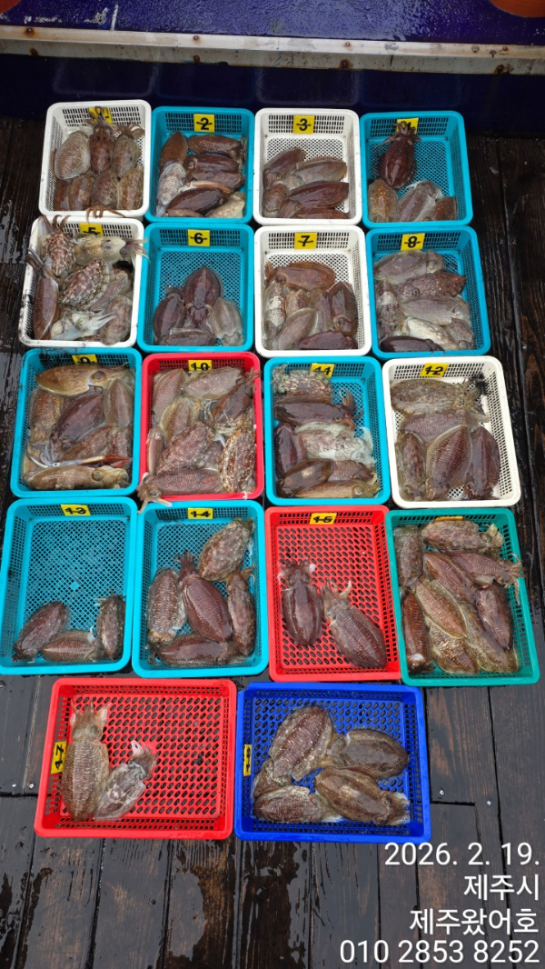 제주왔어호_사진_20260220_1.jpg