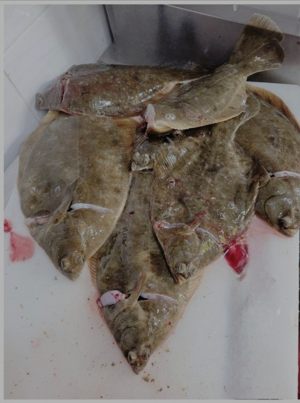 Screenshot_20260224_060607_Samsung Internet.jpg