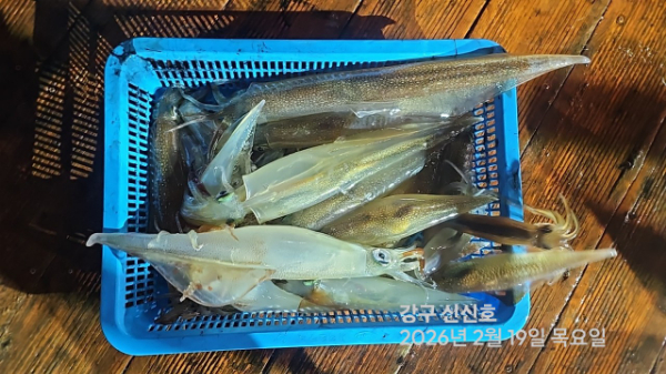 신신낚시 강구점 신신호_사진_20260220_13.jpg