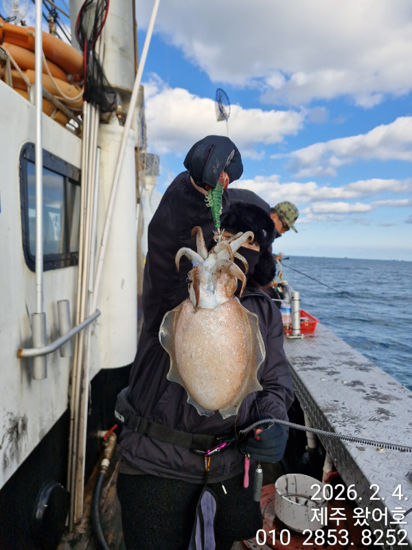 제주왔어호_사진_20260205_25.jpg