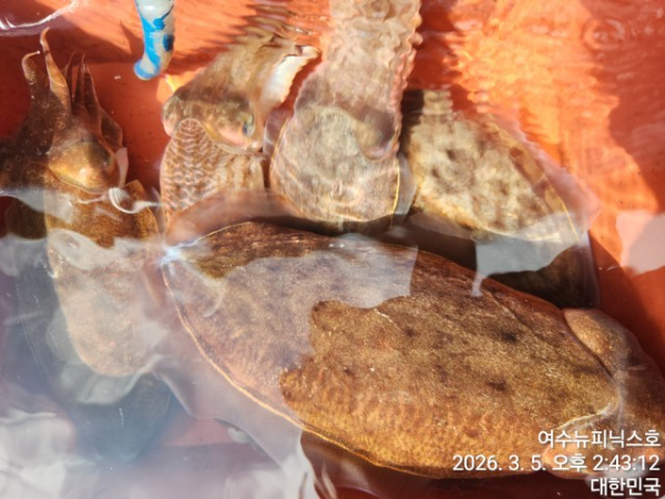 3월5일심해갑 (22).jpg