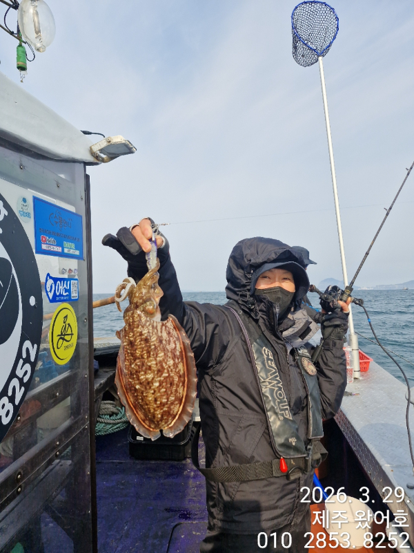 제주왔어호_사진_20260329_25.jpg