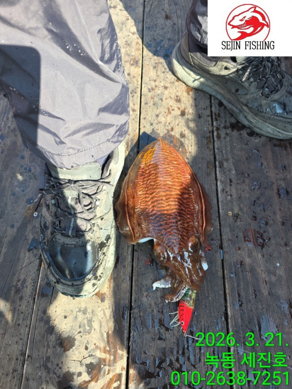 고흥 녹동 세진호_사진_20260322_17.jpg