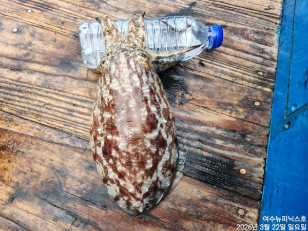 3월22일심해갑 (34).jpg