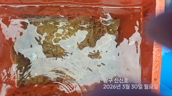 신신낚시 강구점 신신호_사진_20260330_7.jpg