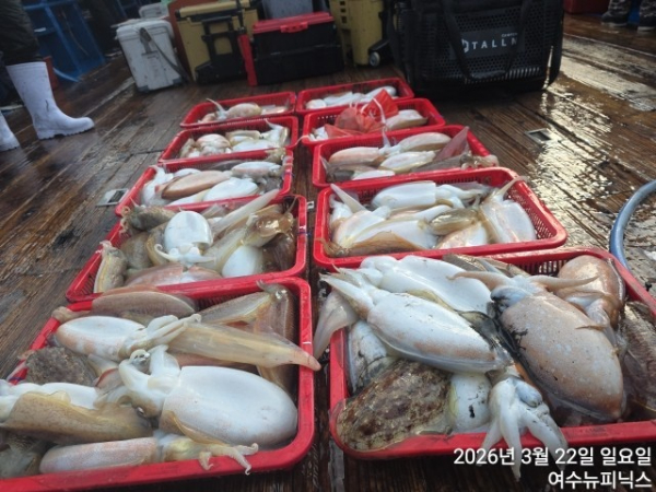 3월22일심해갑 (5).jpg