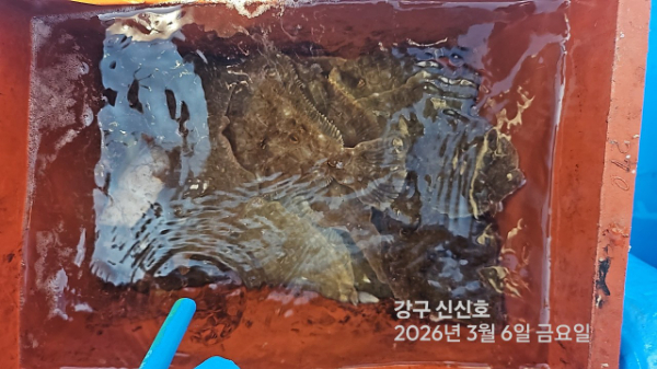 신신낚시 강구점 신신호_사진_20260306_20.jpg