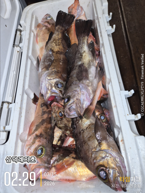 2026-03-15 02.29.10_.jpg