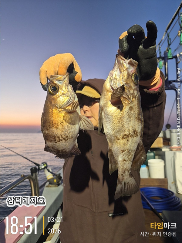 2026-03-21 18.51.46_.jpg