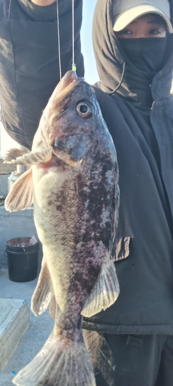 안산 포세이돈호_사진_20260314_3.jpg